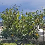 Вилла Vista Stromboli