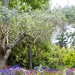 Vista Stromboli Вилла Falerna Scalo