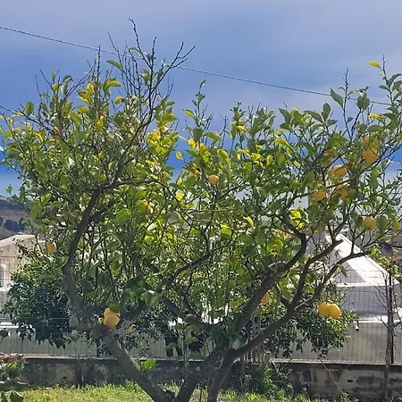 Villa Vista Stromboli