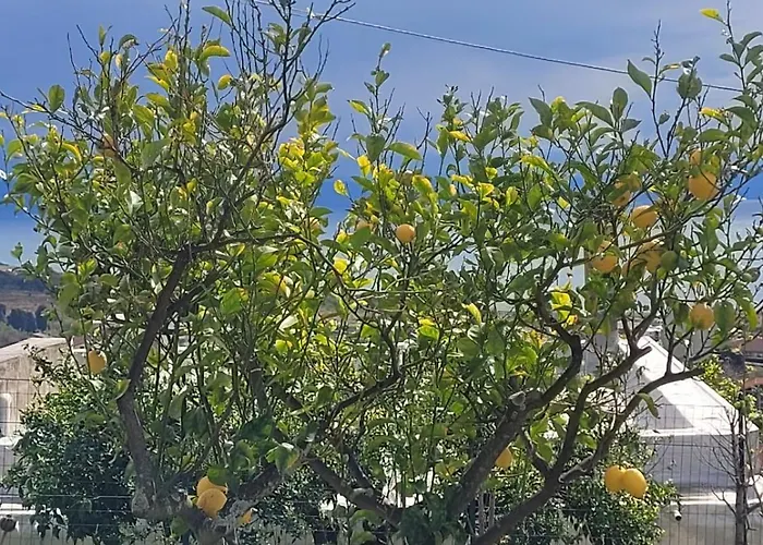 ヴィラ Vista Stromboli