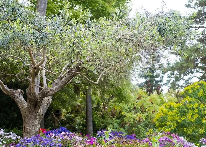 Vista Stromboli Villa Falerna Scalo