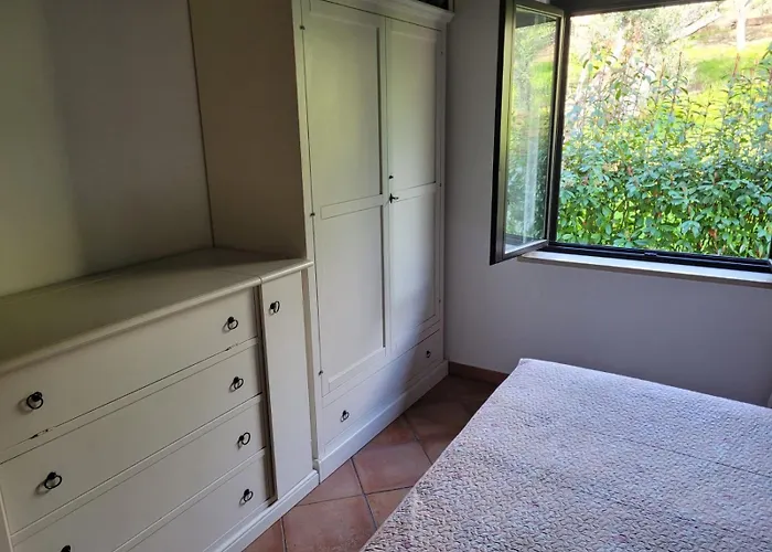 Vista Stromboli Falerna Scalo